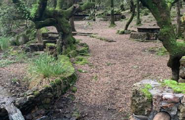 Agriturismo Terra Noas - Foto 7