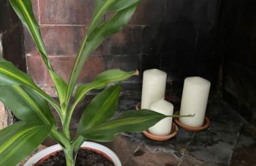 La casa delle rondini - Foto 17