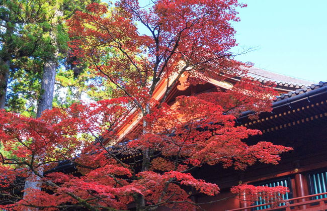 Nikko World Heritage Area Pass - Photo 1