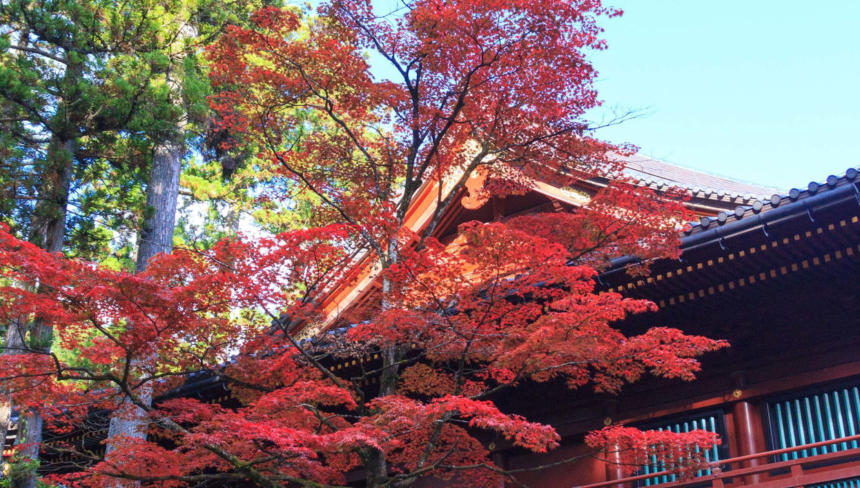 Nikko World Heritage Area Pass