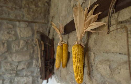 Fattoria Capobianco - Foto 37