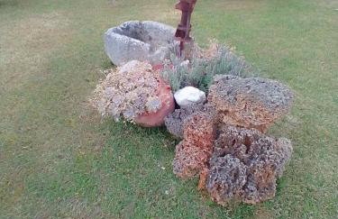 Thodis villa's - Foto 25