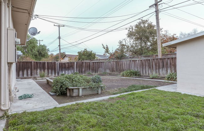 Peaches & Cream - Foto 18