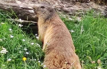 Ripera Panticosa - Foto 29