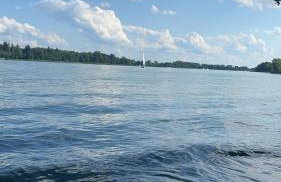 Zielona Ostoja - Foto 4