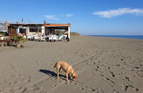 Rustic country cottage - Foto 35