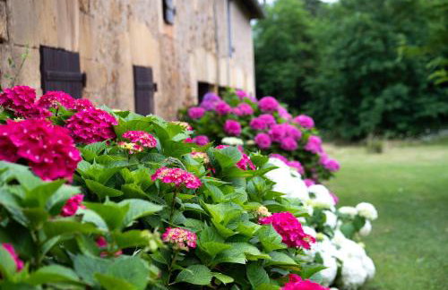 La Bourgeoisie - Foto 17