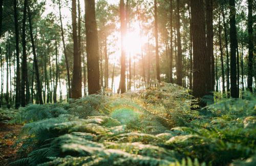 La Cabosse - Foto 22