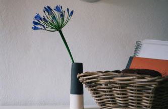 The Roundhouse Tregonce, Padstow, near the sea - Foto 22