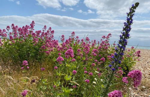Driftwood Beach House - Photo 27