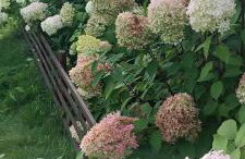 Domek pod Dębami Bogaczewo - Foto 17