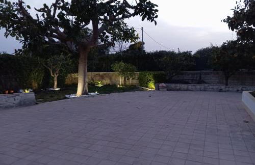 Villa IGMA - Foto 20