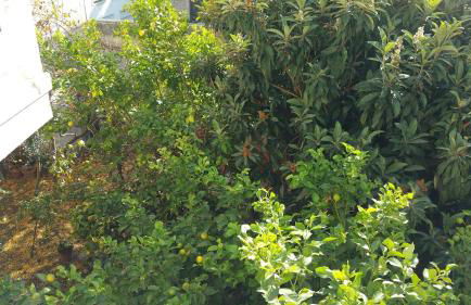 Palazzo Lagioia - Foto 25