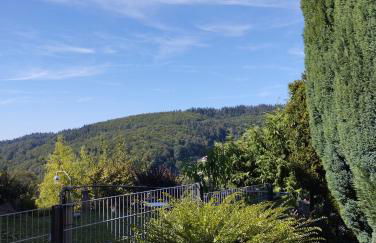 Das Tor zum Odenwald - Photo 6