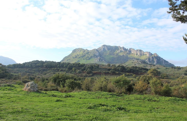 Agriturismo Bosco Pianetti - Foto 33