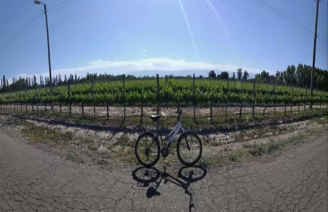 Alquiler de bicicleta en Maipú - Foto 9