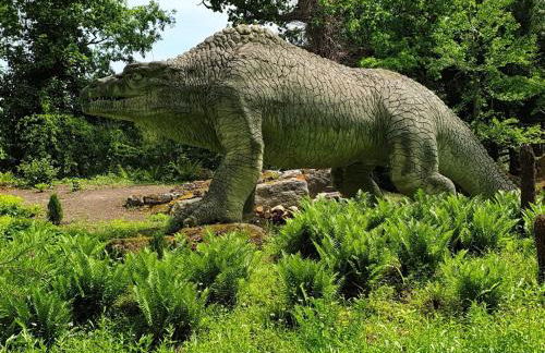 Queens Lodge - Photo 23