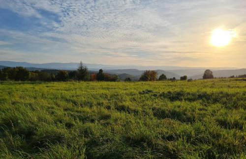 Michałówka Michaelhof - Foto 68