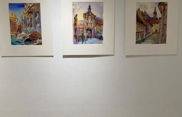 Exclusive Artist Residence on 230qm in Hirschaid - Foto 39