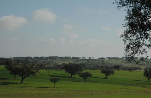 Herdade do Monte Outeiro - Turismo Rural - Foto 13