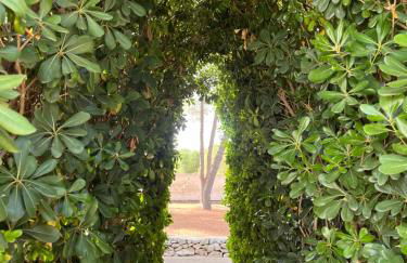 Casette Masseria La Camardia - Foto 52