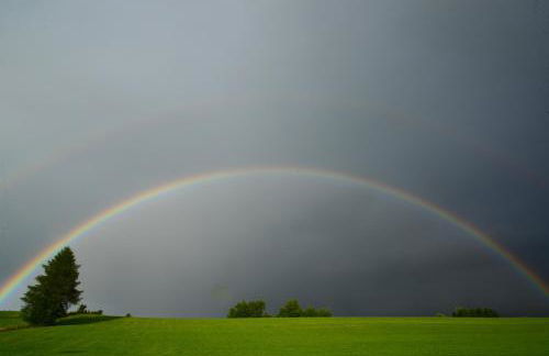 Hintere Schöne - Foto 22