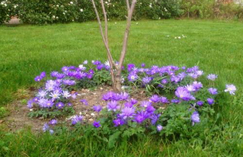 Lackford Lakes Barns - Foto 21