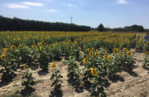 lagalerie84 - Foto 55