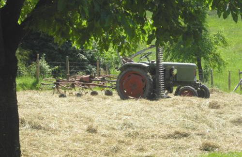 Ferienhof Bimesmeier - Foto 7