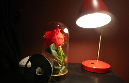 LE MOULIN DES PLAISIRS atypical SM experience - Foto 17