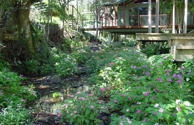 Treetops Accommodation Montville - Photo 5