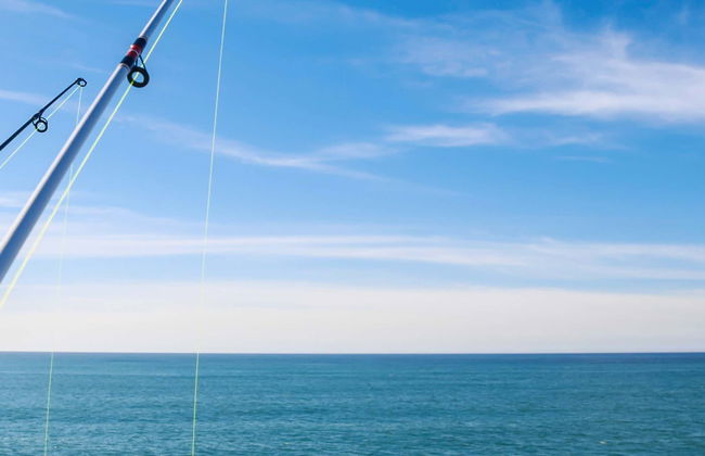 Esperienza privata di pesca a Campeche - Foto 1