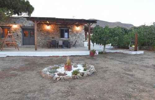 Flora's beach and pool villa in Syros - Foto 54