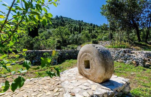 Apartments with parking space Korita, Mljet - 22342 - Foto 16