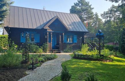 Niezapominajka - Foto 2