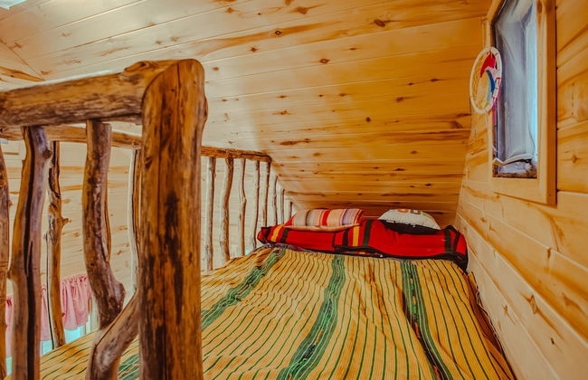 Twin Creeks Ranch Luxury Aspen Group Retreat 25-acres Guest House - Foto 68