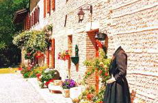 La Regina del Bosco - Foto 1