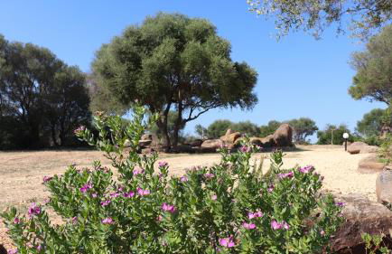 Country villa Sant' Elène- Appartamento Mirto - Foto 45