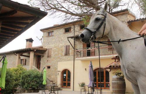 Agriturismo Il Monte - Piscina tra gli Ulivi, Maneggio con Cavalli e WIFI - Foto 35