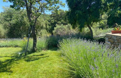 Tenuta Le Mandorlaie, Agriturismo in Scansano - Foto 58