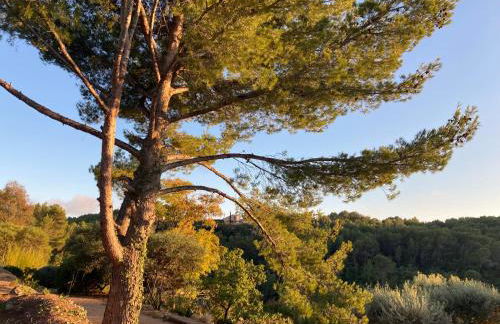 Castel'lodge - Foto 19