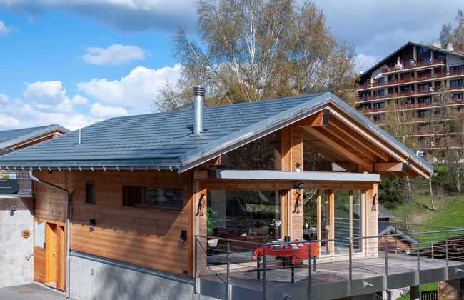 Les penguins - Foto 17