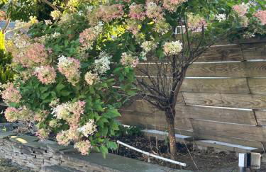 Litchfield Retreat, Wineries, Foliage & Skiing - Foto 6