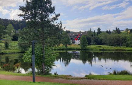 Ferienwohnung Seeblick mit Balkon - Mein Schwarzwaldhäusle - Foto 35