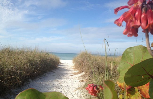 Siesta Palms By the Beach - Photo 66