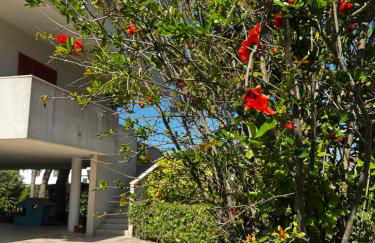 WalMarhouse - Foto 2