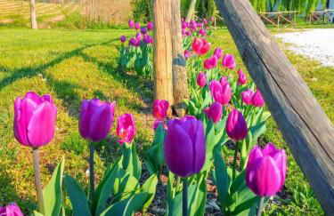 Corte di Tosina - Foto 7