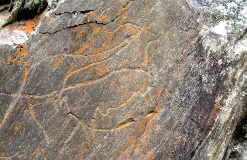 Casa do Tablado - Foz Côa - Foto 39