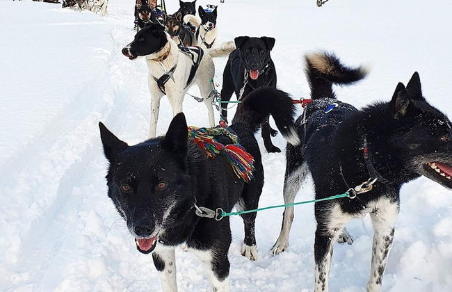 9 Person Holiday Home in Gratangen - Foto 9