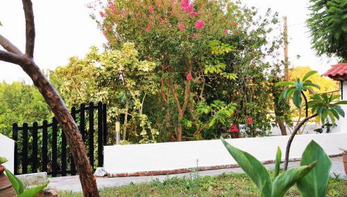 Villa Irene - Foto 4, Garden